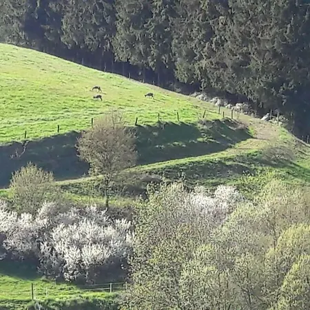 Emmerich's Apartment