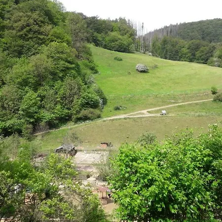 Emmerich's Bad Wildungen