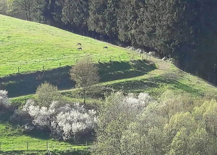 Emmerich's Διαμέρισμα