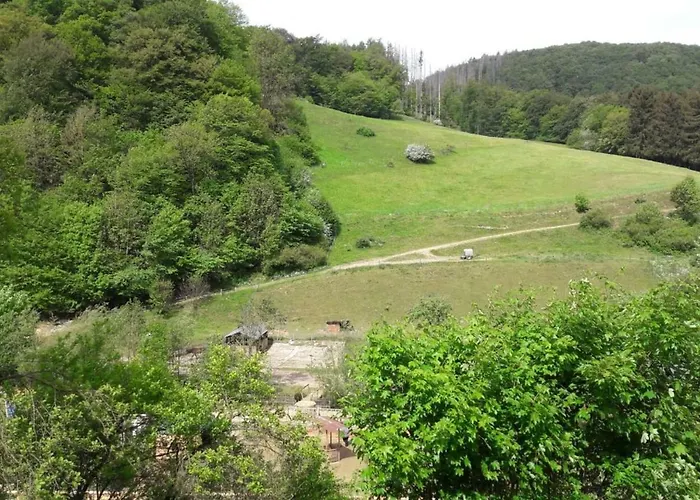 Emmerich's Bad Wildungen